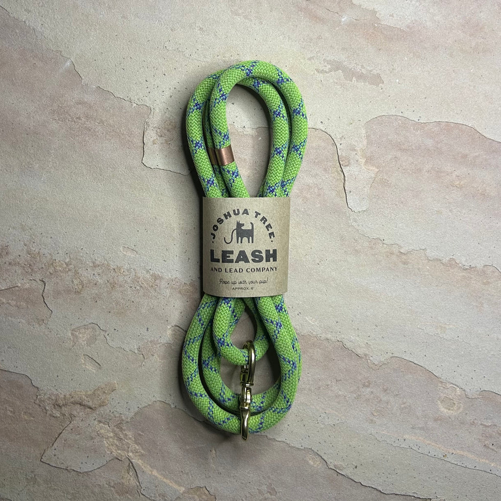 Green Glass Door (B-side)